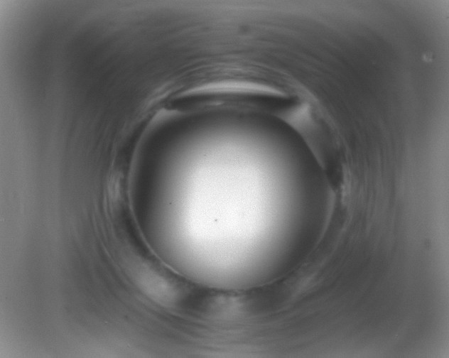 X0000082720071200701261230
