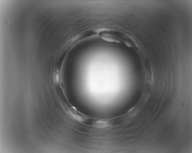 X0000082720095200701261230