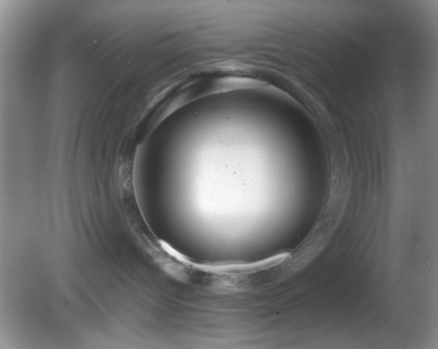 X0000082720096200701261230
