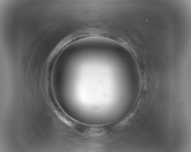 X0000082720101200701261229