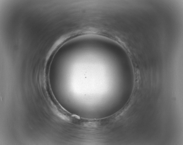 X0000082720102200701261229