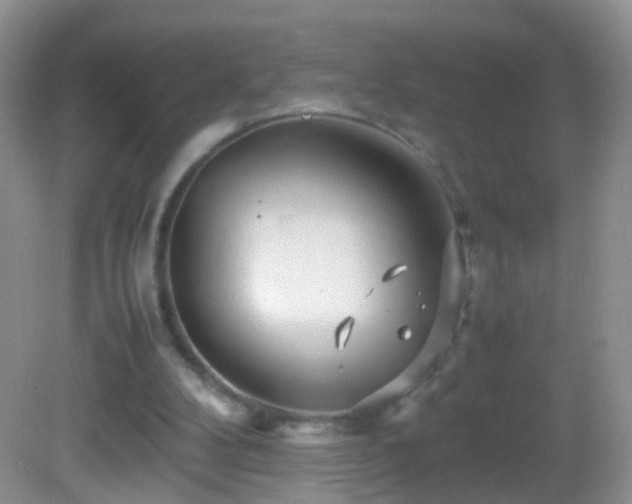X0000082720104200701261229
