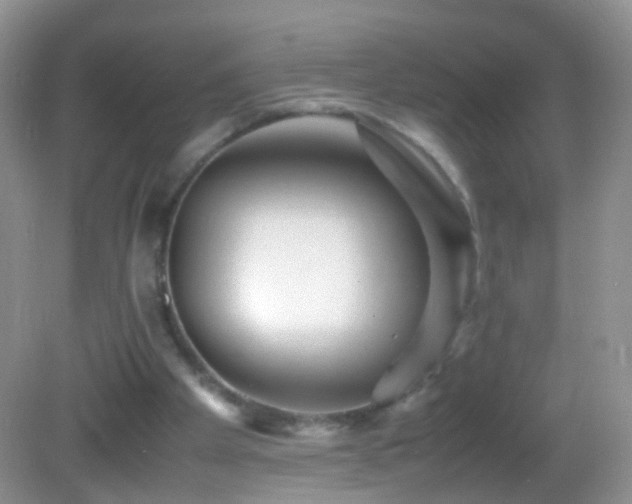 X0000082720105200701261229