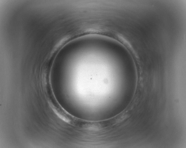 X0000082720106200701261229