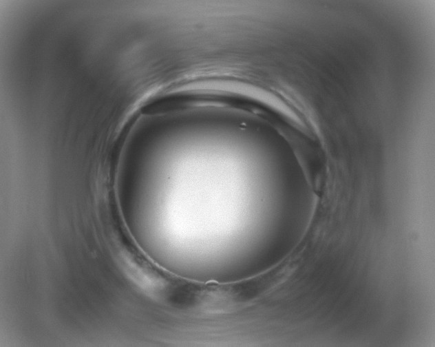 X0000082720107200701261229