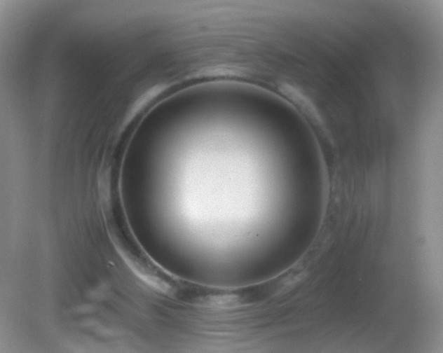 X0000082720108200701261229