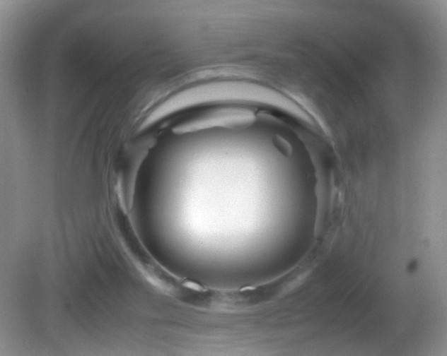 X0000082720109200701261229