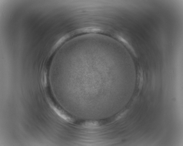 X0000082720110200701261229
