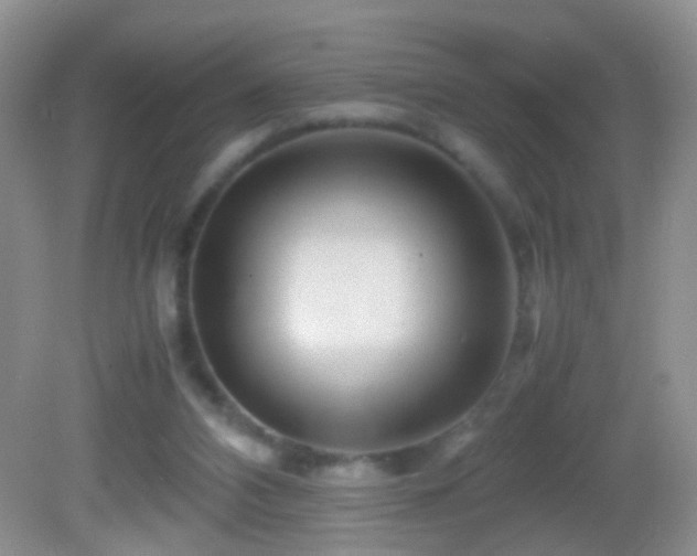 X0000082720112200701261229