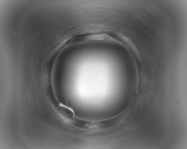 X0000082720113200701261229