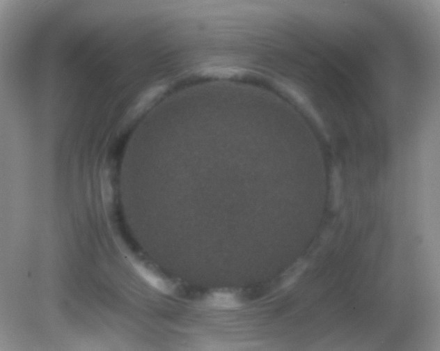 X0000082720114200701261229