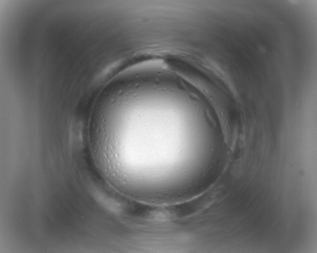 X0000082720115200701261229