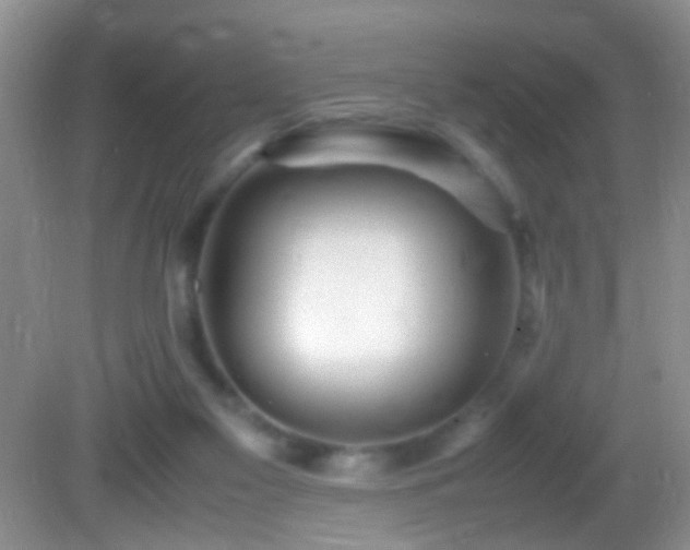 X0000082720117200701261229