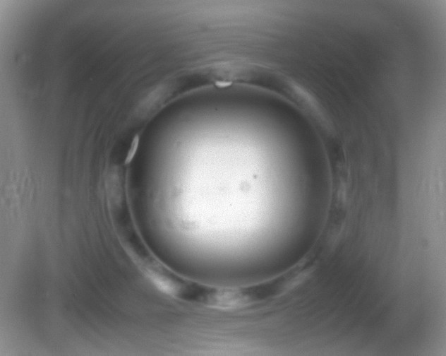 X0000082720121200701261229