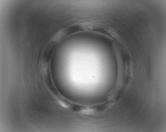 X0000082720125200701261229