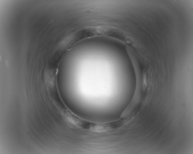 X0000082720129200701261229