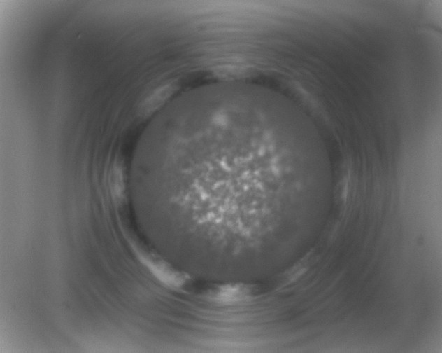 X0000082720130200701261229