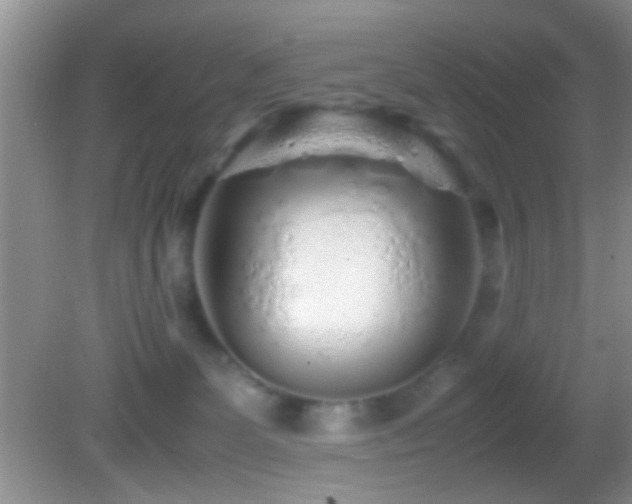 X0000082720131200701261229
