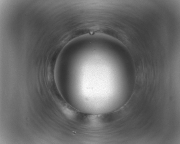 X0000082720136200701261229