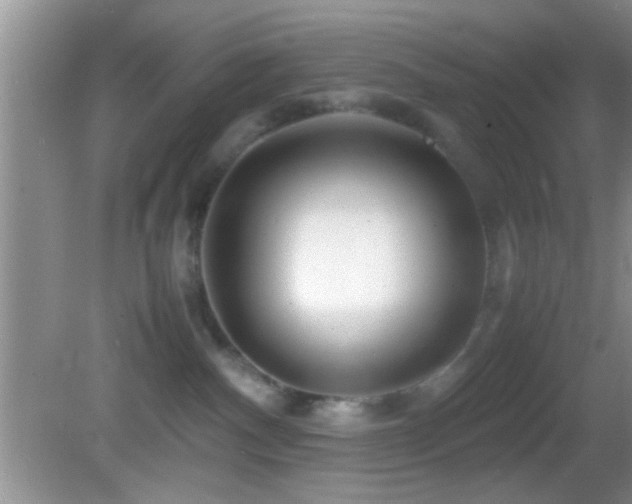 X0000082720140200701261229