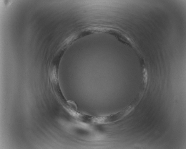 X0000082720143200701261229