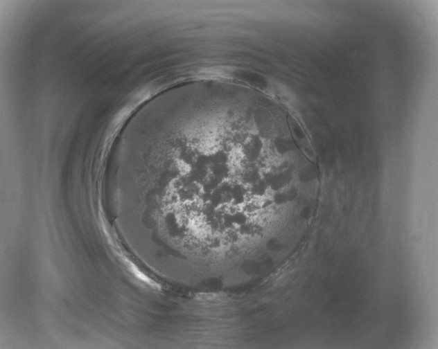 X0000082720145200701261228