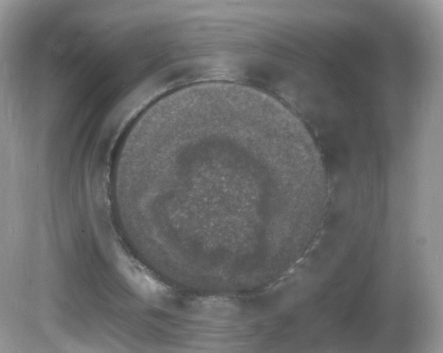 X0000082720146200701261228