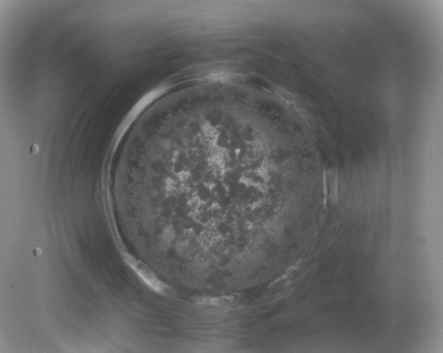 X0000082720147200701261228