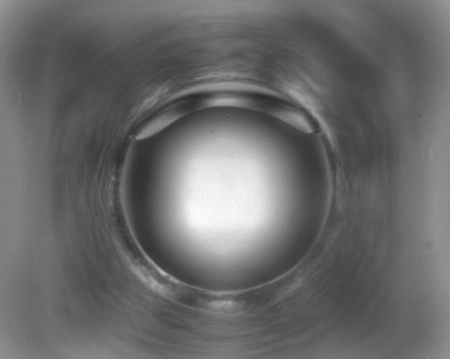 X0000082720153200701261228