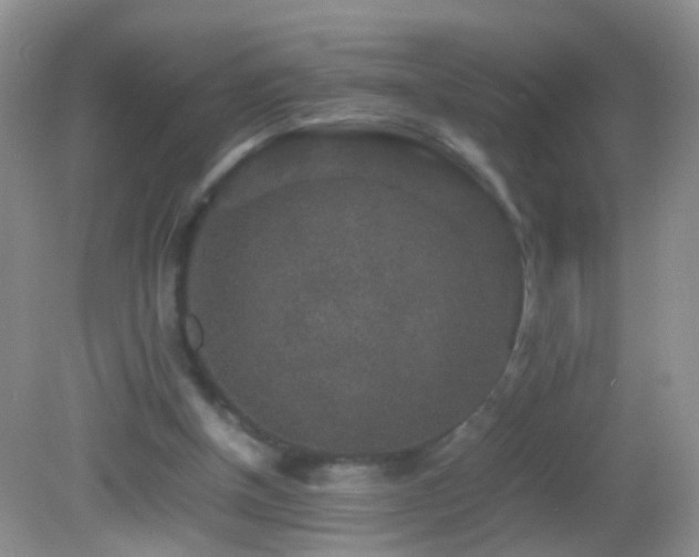 X0000082720154200701261228