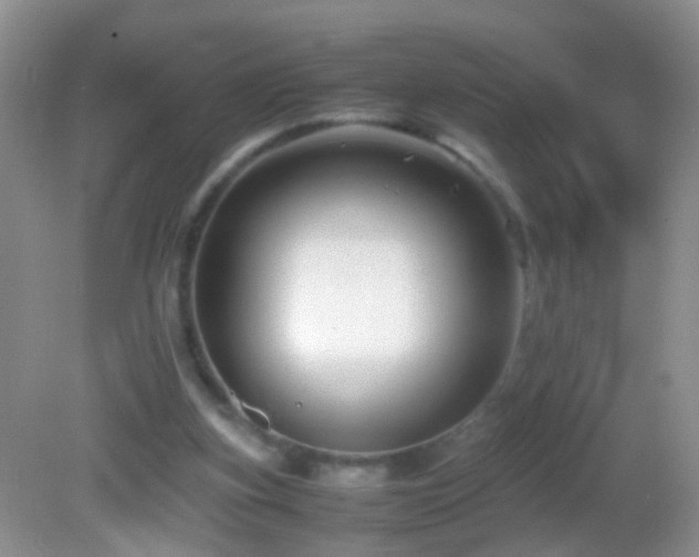 X0000082720155200701261228