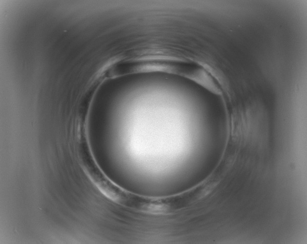 X0000082720157200701261228
