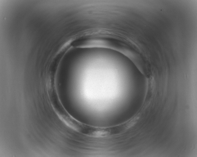 X0000082720158200701261228