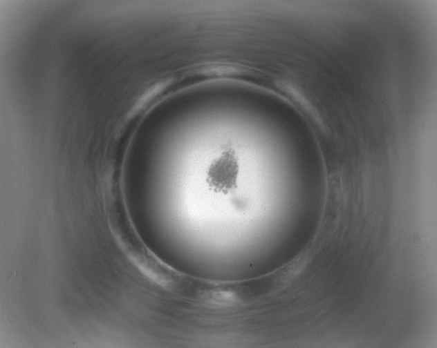 X0000082720159200701261228