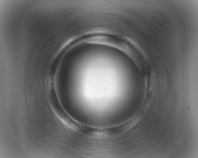 X0000082720160200701261228