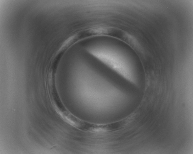 X0000082720163200701261228