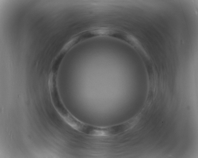 X0000082720167200701261228