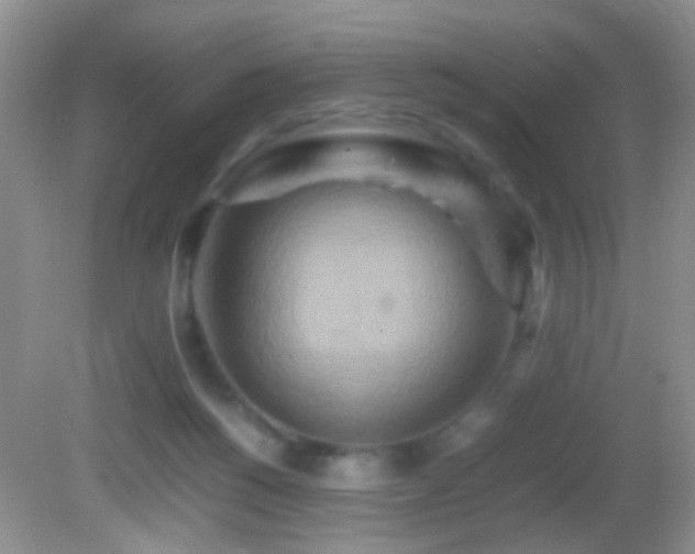 X0000082720168200701261228