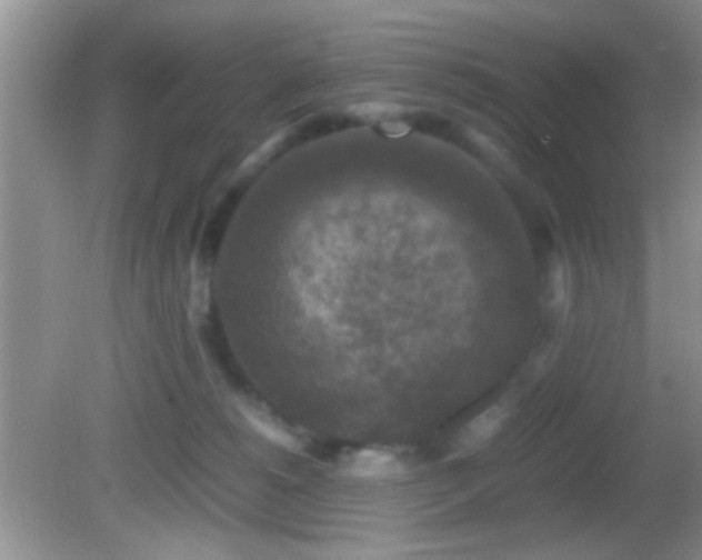 X0000082720180200701261228