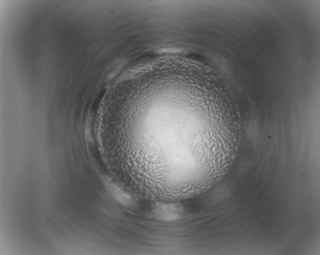 X0000082720185200701261228