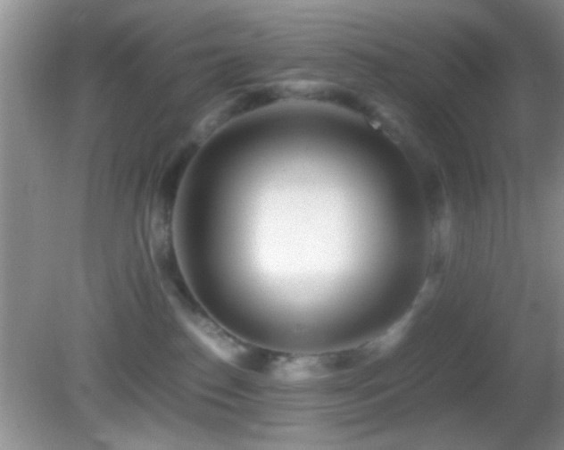 X0000082720186200701261228