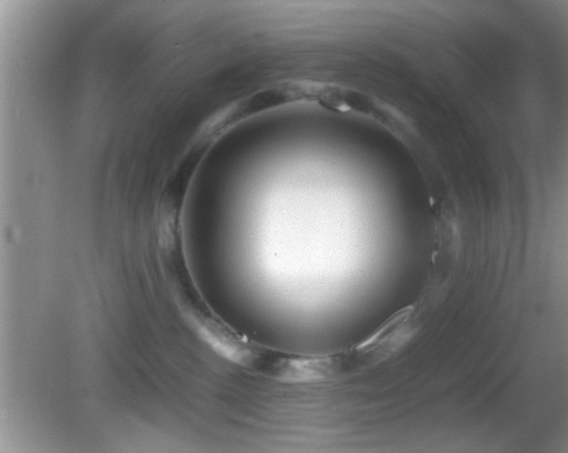 X0000082720188200701261228
