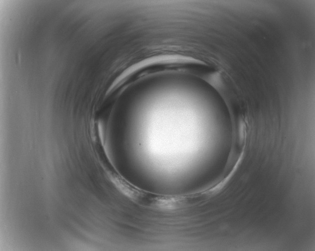 X0000082720190200701261229