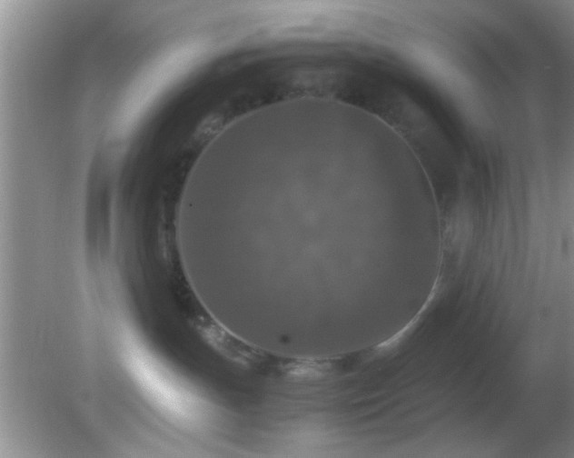 X0000082720191200701261229