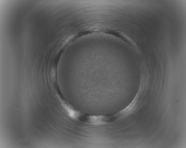 X0000082720192200701261229