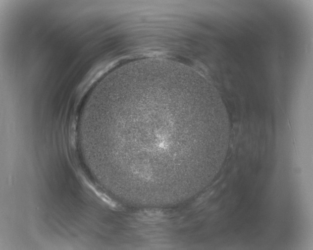 X0000082720194200701261228