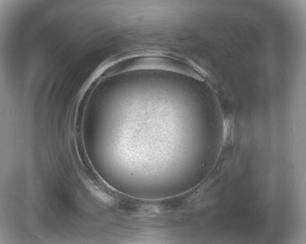 X0000082720195200701261228