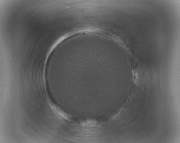 X0000082720196200701261228
