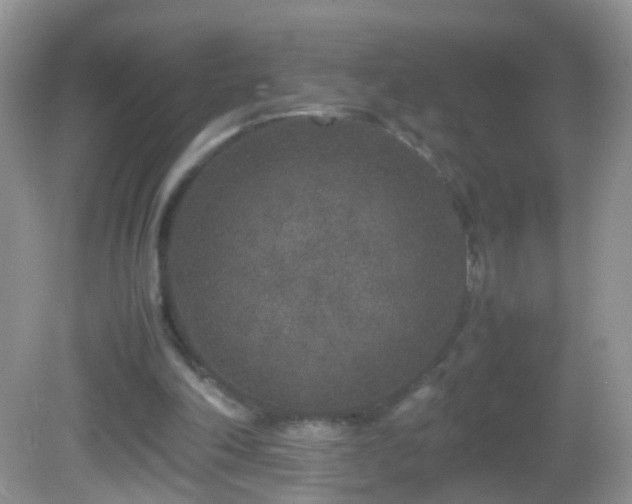 X0000082720198200701261228