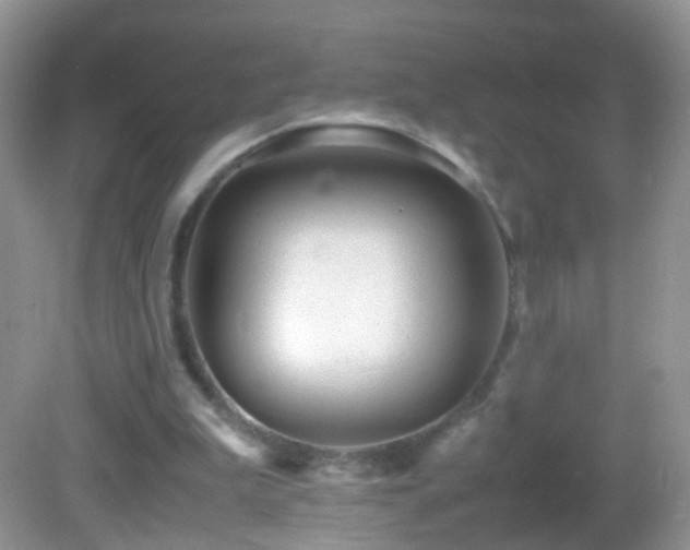 X0000082720199200701261228